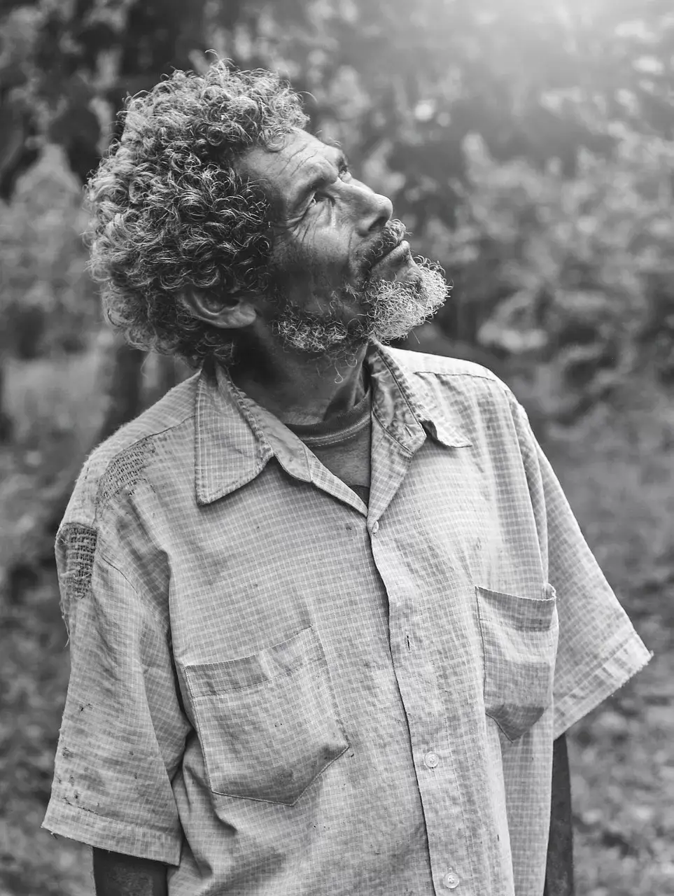 elder-age-life-4154624 - Readers And Healers Inc. elder, age, life-4154624.jpg